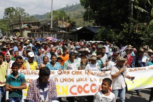 El 17 de febrero de 2017 se conformó la coordinadora municipal de coquicultores de Valdivia. Ese día los cultivadores de coca marcha-ron por la troncal a la Costa Caribe a la altura del corregimiento Puerto Valdivia, Norte de Antioquia.