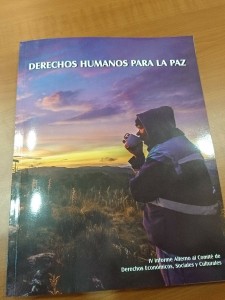 Informe DESC libro 2017