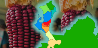 Conoce las candidaturas a las curules de paz en Urabá